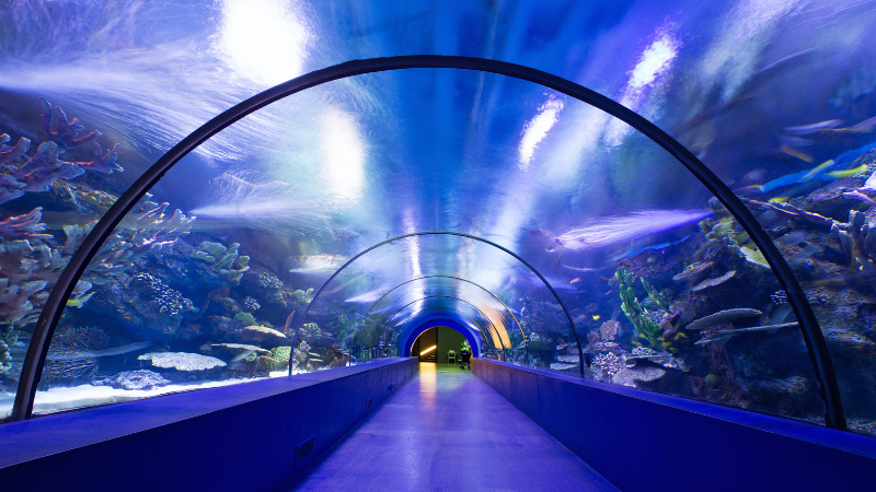 Cool Indoor Attractions for Beating Atlanta's Summer Heat | JYB Realty