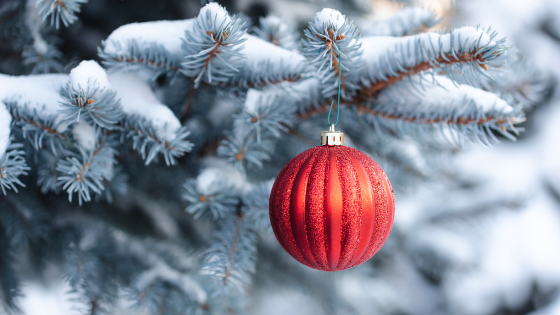 December Delights: Top Family Activities in Atlanta | JYB Realty