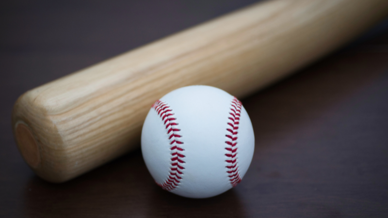 Dinner and a Baseball Game Around Atlanta | JYB Realty