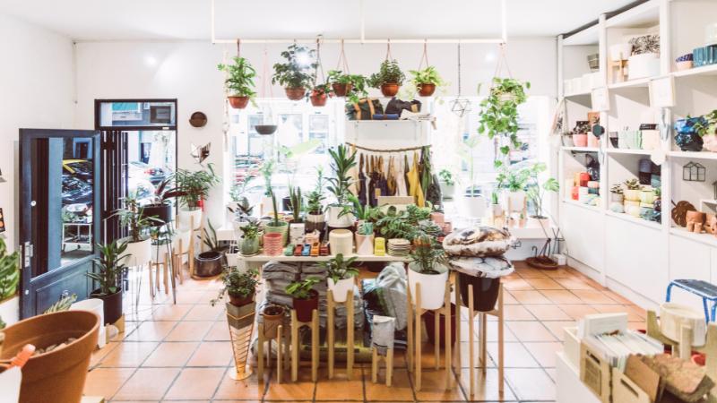 Leaf It to the Experts: Atlanta's Top Plant Specialists | JYB Realty