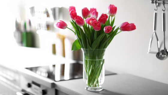 Mistakes to Avoid When Listing Your Home in Spring | JYB Realty