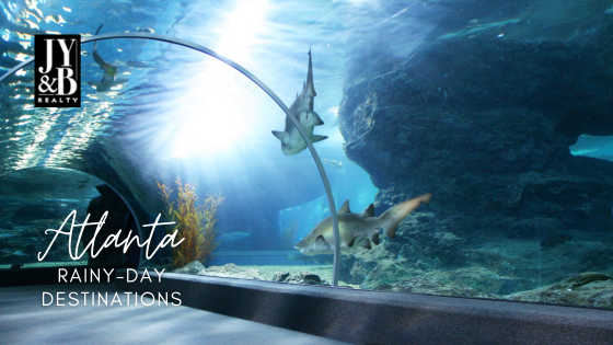 Fun Stops for a Rainy Day - Atlanta, GA - JYB Realty