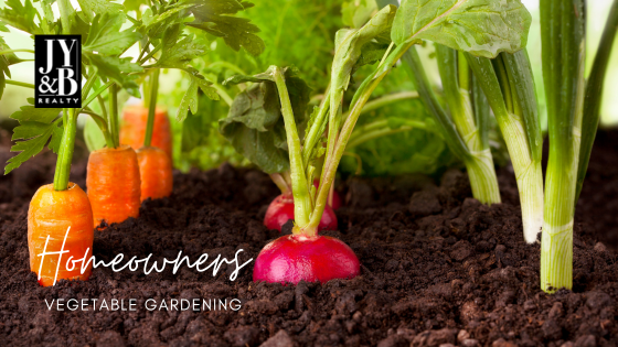 Start a Vegetable Garden - Atlanta Homewoners - JYB Realty